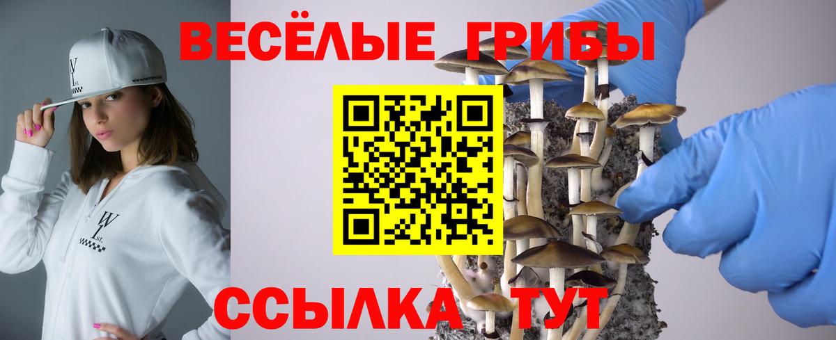 Юрга  Галлюциногенные грибы Magic Shrooms  Вход с VPN 